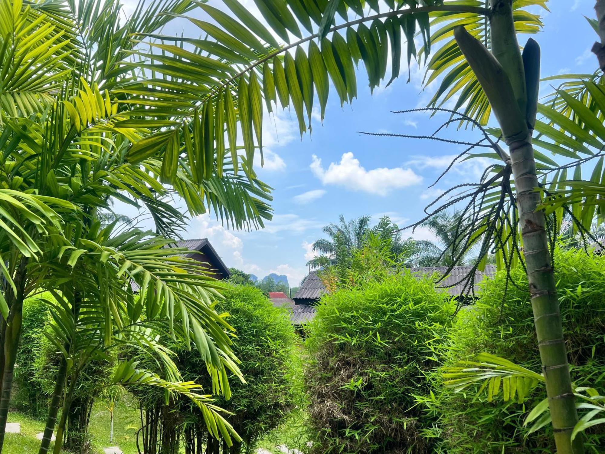 奥南棕榈基里度假村 Ao Nang 外观 照片