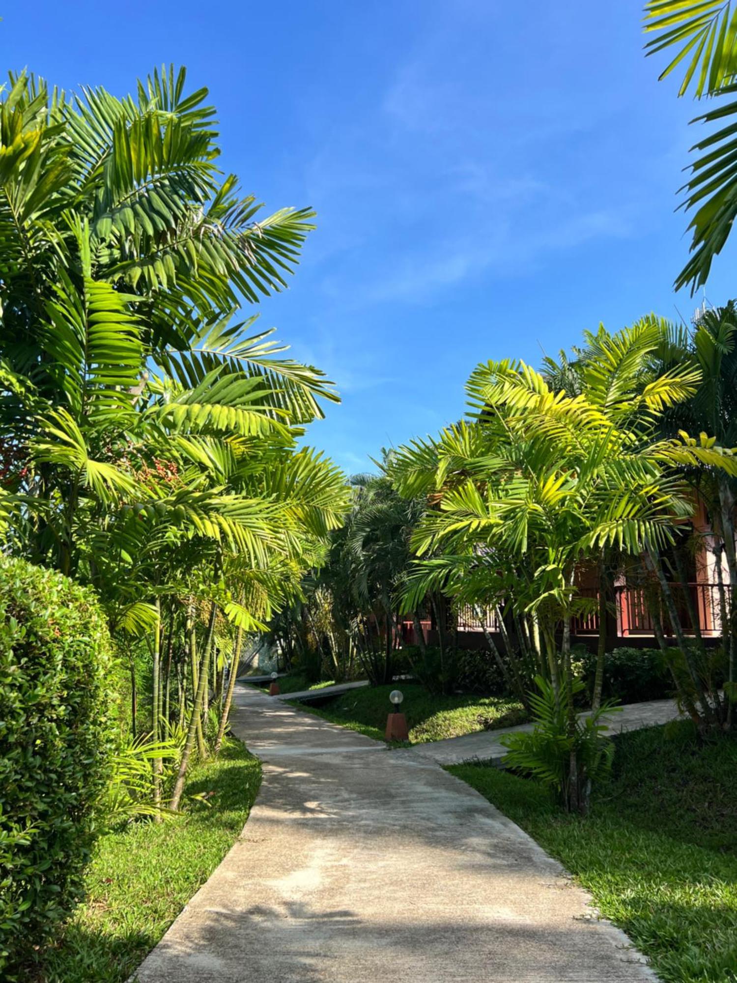 奥南棕榈基里度假村 Ao Nang 外观 照片